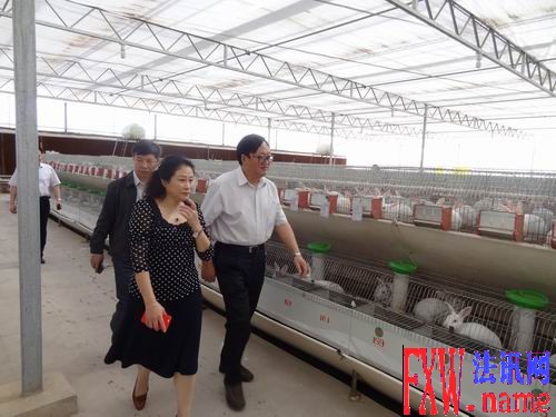 杨璐局长视察武威例行督察组并调研